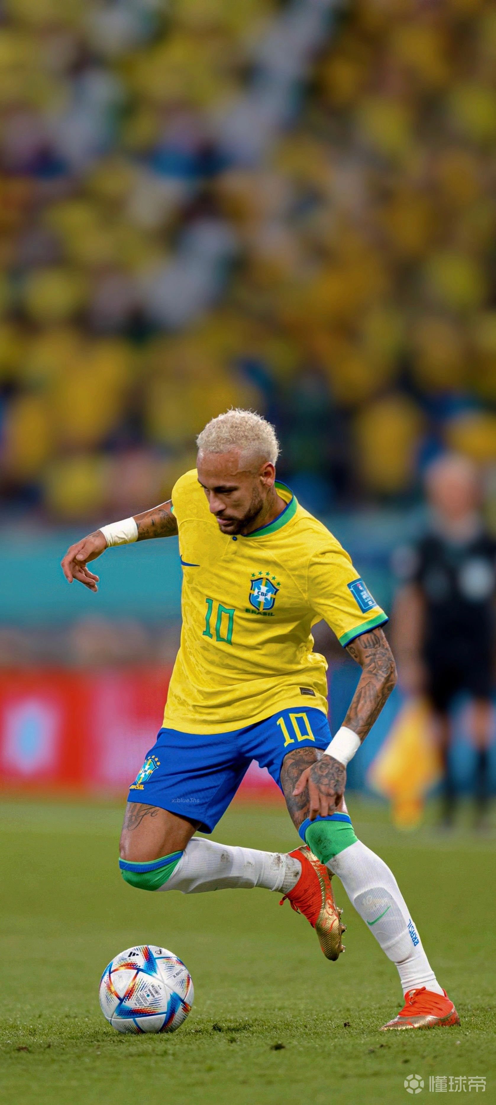 教练组要求 教练组要求